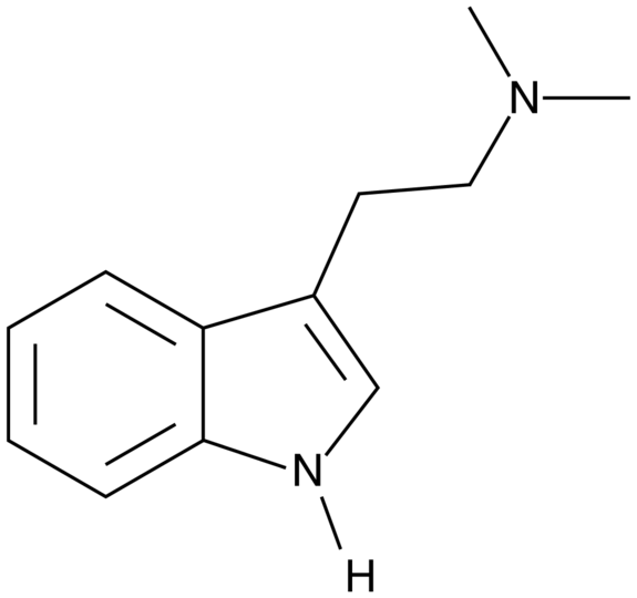 Structure of DMT